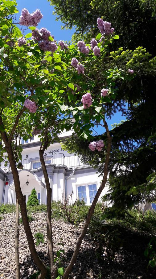 קריניצה זדרוי Lesna Polana- Blisko Centrum, Mini Spa, Cicha, Spokojna Okolica, Parking Gratis מראה חיצוני תמונה
